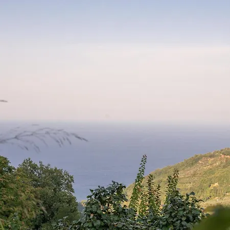 Hébergement de vacances Zoes House